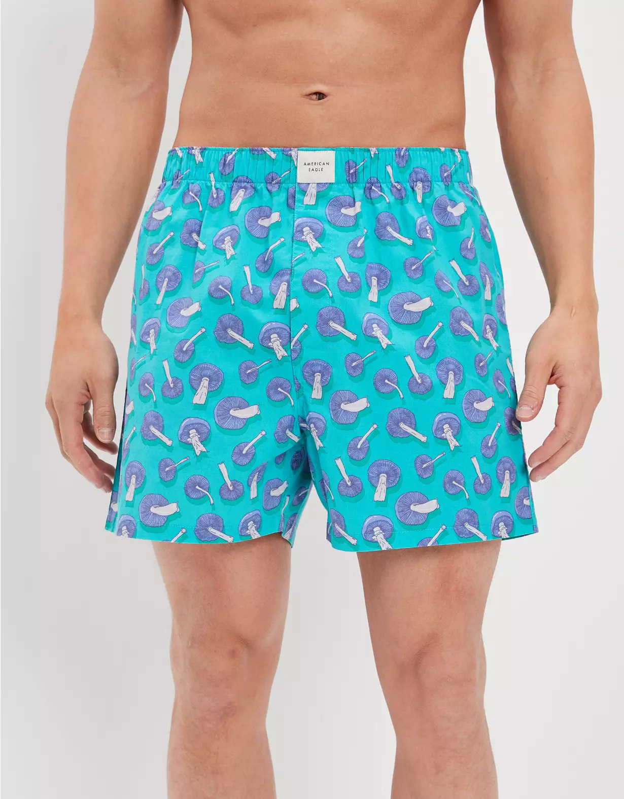 AEO Mushrooms Stretch Boxer Short