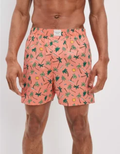 AEO Sunny Palms Stretch Boxer Short