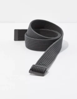 AEO Ribbed Web Belt