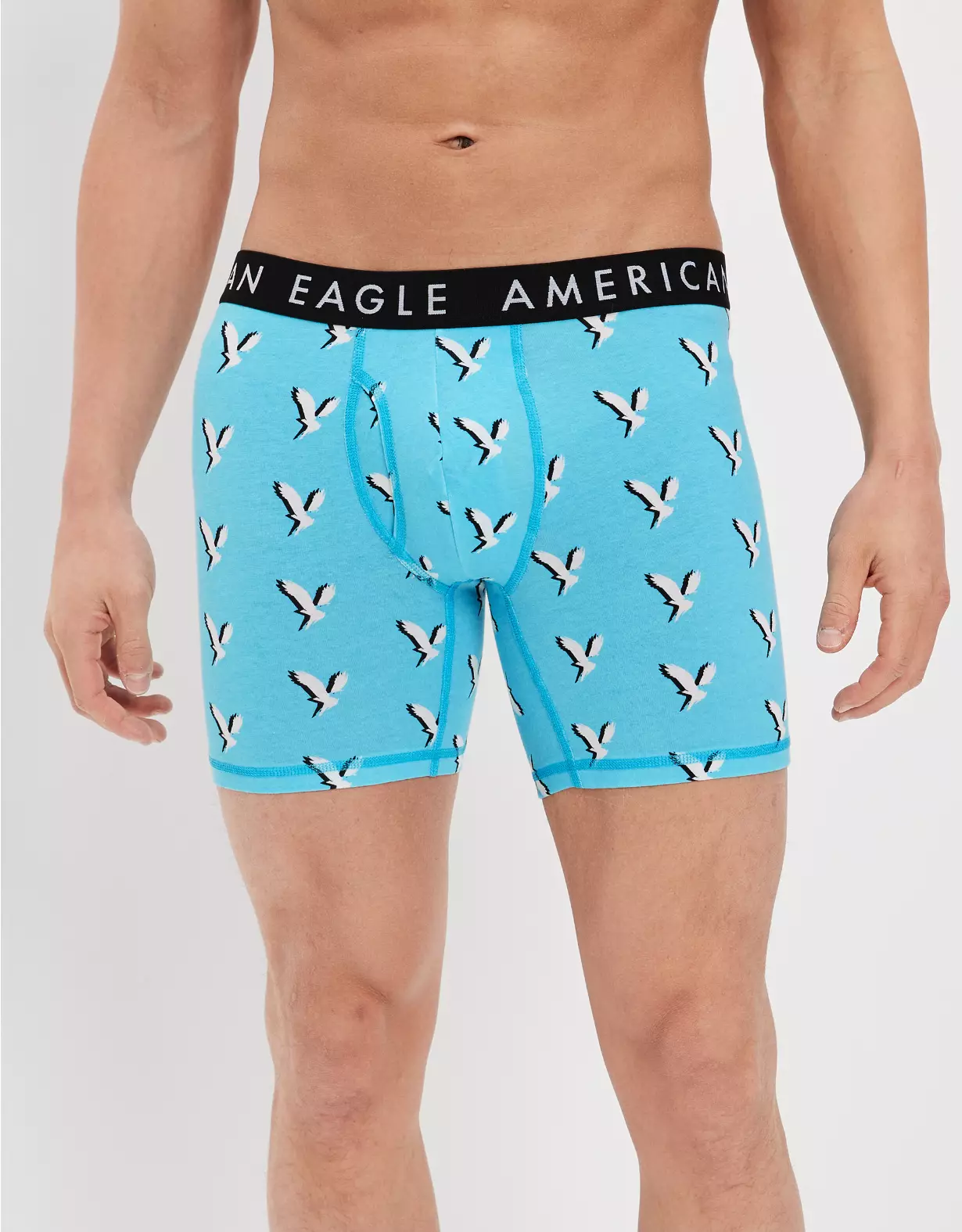 AEO Shadow Eagle 6" Classic Boxer Brief