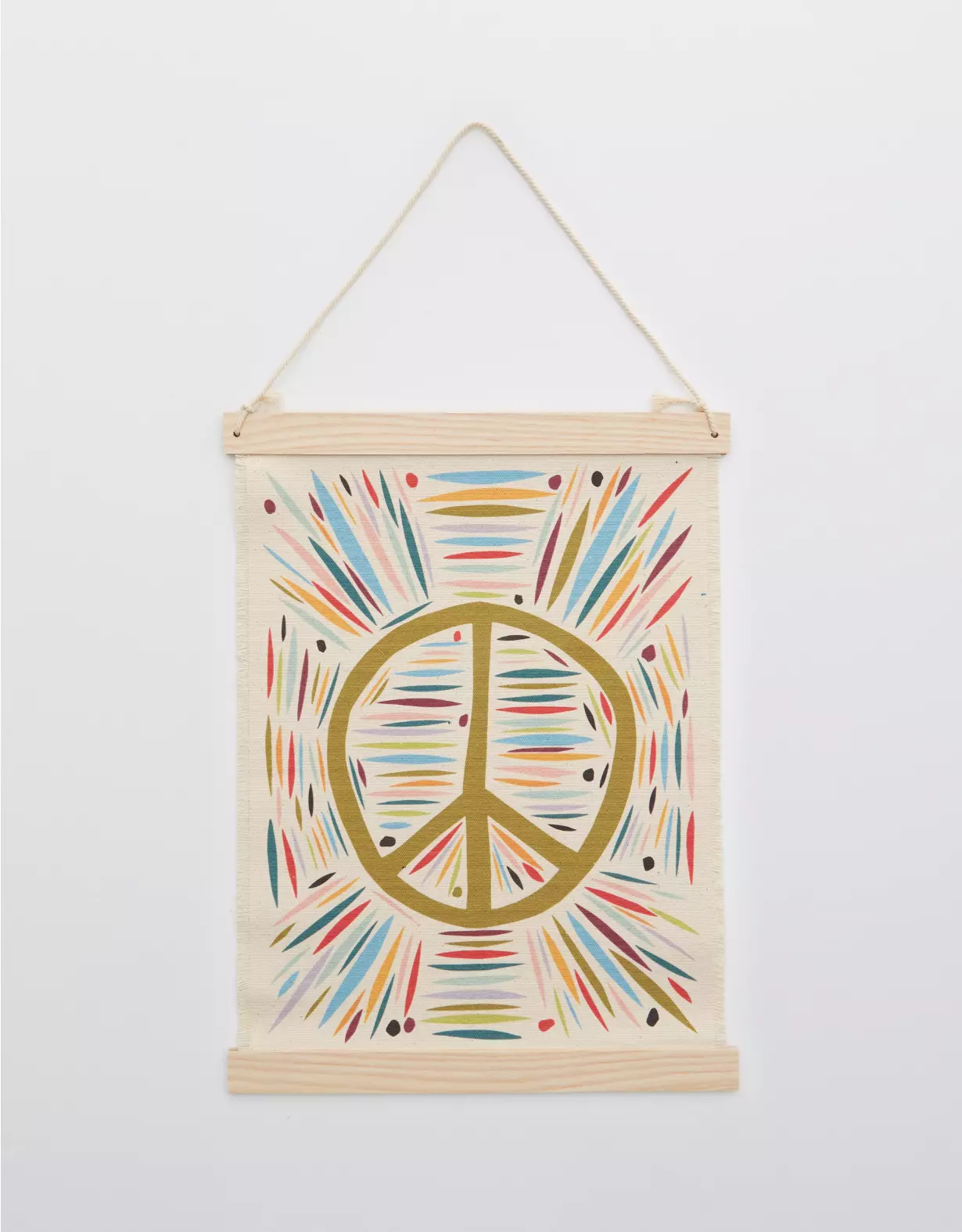 Aerie Fringe Canvas Wall Hangings