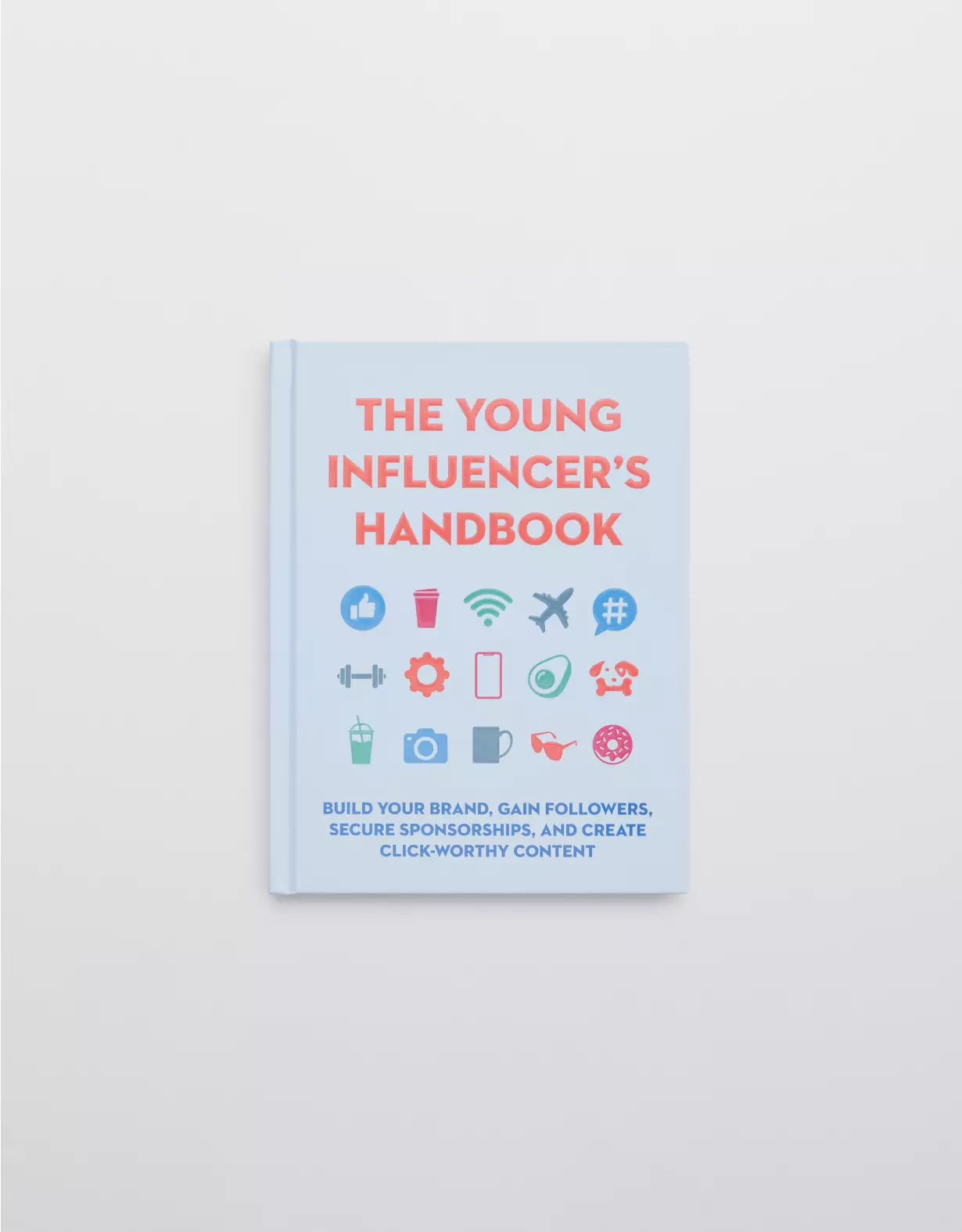 Aerie The Young Influencer's Handbook