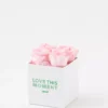 Aerie Rose Farmers Love This Moment Roses 4-Count
